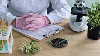 Mordovya Üniversitesi kontrollü salınımlı gübre geliştirdi