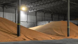 Rusya Tarım Bakanlığı, buğday müdahale fiyatlarını düşürmeyi önerdi