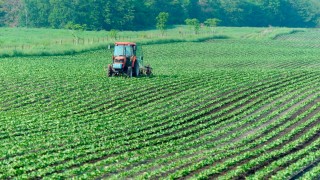 Tarım ve Orman Bakanlığı 129 Milyon TL Kırsal Kalkınma Desteği Ödüyor