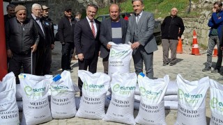 Bolu’da üreticilere 7 ton yem bitkisi tohumu dağıtıldı