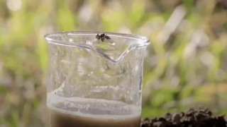 Çinli bilim insanlarından tarım arazileri için hidrokömür yöntemi