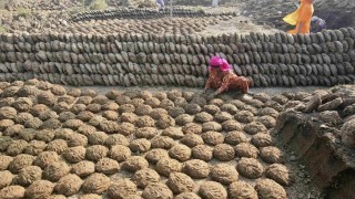 Hindistan’da LNG Krizi Tezek Kullanımını Artırdı