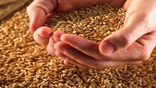 Hürmüz Gerilimi Gıda Tedarik Riskini Artırıyor