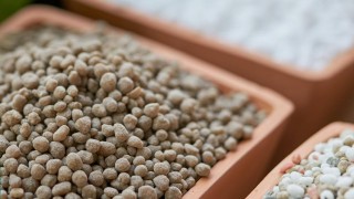 İspanya’da gübre fiyatları yüzde 50 arttı