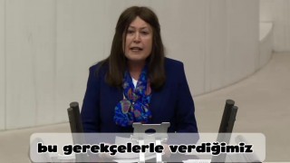 İYİ Partili Sunat TBMM’de gübre krizini gündeme taşıdı