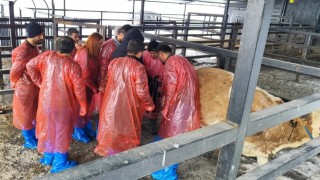 Kars VHO, KALEM Sürekli Eğitim Merkezi’ni Açtı