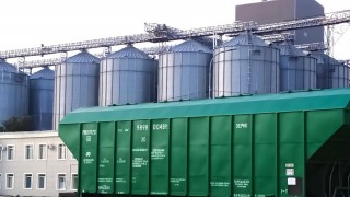 KazGrain: Kazakistan’da Tahıl İhracatı Şubat Başında Yavaşladı