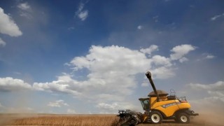 Küresel Soya İhracatı Yüzde 18 Artarak 22,6 Milyon Ton Oldu