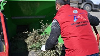 Mersin Büyükşehir 835 ton organik atığı komposta dönüştürdü