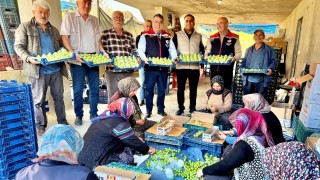 Mut eriği üretim sezonu başladı