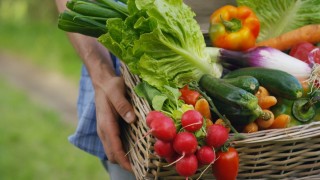 Organik Gıda Sektörü 2024’te Rekor Satışa Ulaştı