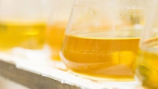 Rusya, balda sahteciliği tespit edecek standart geliştirdi