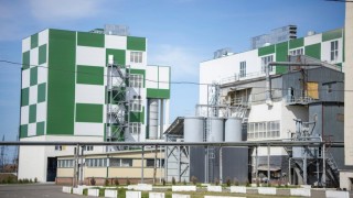 Rusya’da un üretim kapasitesi artıyor