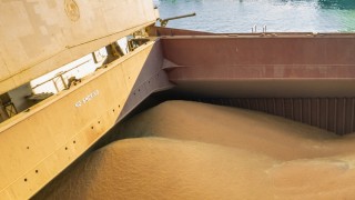 Rusya’nın Güney Kore tahıl ihracatı şubat ayında arttı