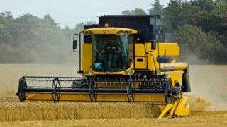 SovEcon: Rusya Buğday Üretim Tahmini 87,6 Milyon Ton