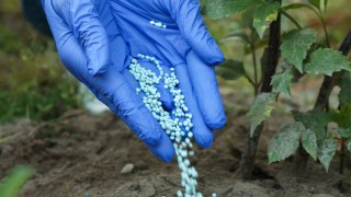 Ticaret Bakanlığı üre ithalatında gümrük vergisini sıfırladı