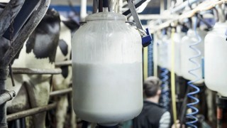 TÜSEDAD: Şubat’ta 1 Litre Çiğ Süt Maliyeti 27,64 TL Oldu