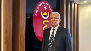 TVHB’den tüberküloz uyarısı: zoonotik risklere dikkat