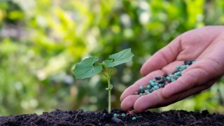 TZOB: Şubat’ta Gübre ve Yem Fiyatları Arttı