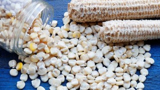 USDA: Meksika mısır üretimi 24,5 milyon tona inecek