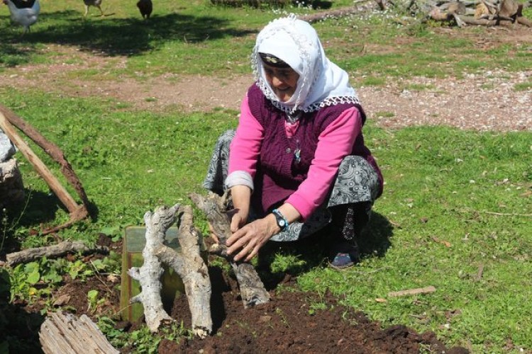 3 saat kaynatıp, kilosunu 200 TL'den satıyor