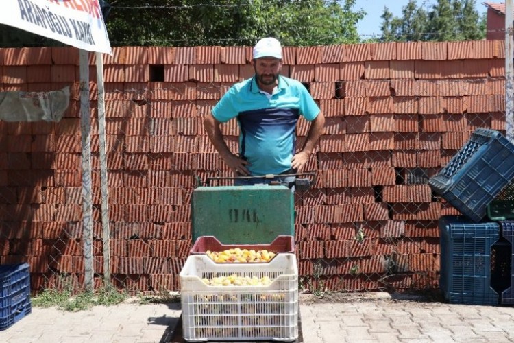 Konsantre Kayısıda Fiyat 90 Kuruş Oldu