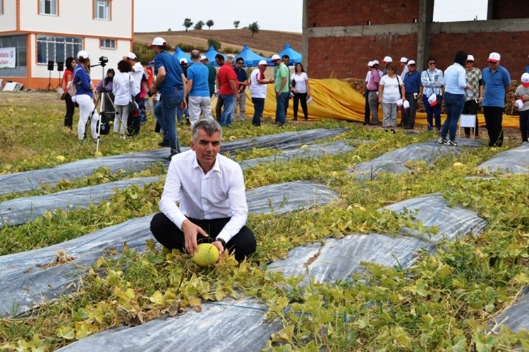 Karpuz ve Kavun Üretiminde Su Tasarrufu Sağlayacak Mikro Su Hasadı Tekniği Tanıtıldı