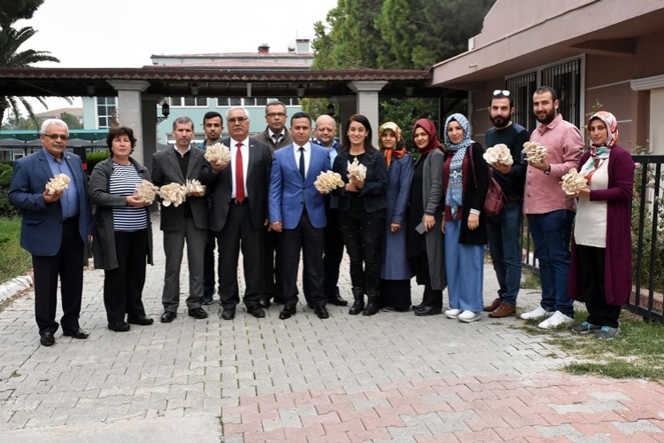 Tarsus Belediyesinin Kursiyerleri İlk İstiridye Mantarı Hasadı Yaptı