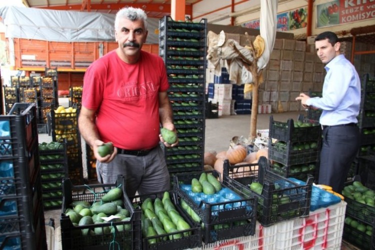 Dalında 1,80 TL! TIR'lara dolduruluyor, tonla gönderiliyor...