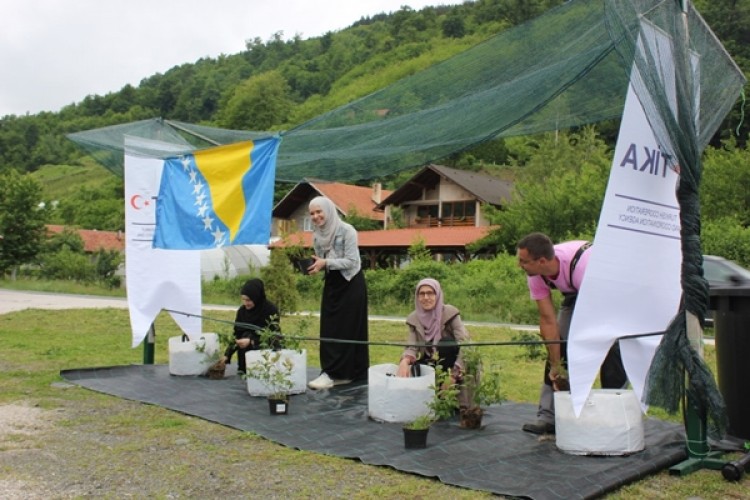 TİKA'dan Bosna Hersekli kadınlara tarım desteği