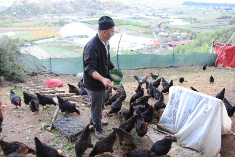 Son Maaşı İle İnternetten Aldı! Şimdi Talebe Yetişemiyor...