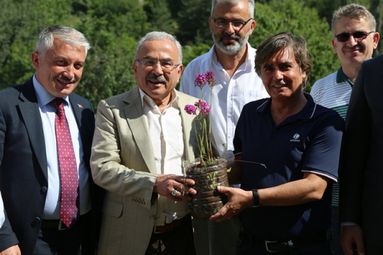 Güler: “Mesudiye Aromatik Ve Tıbbi Bitki Bakımından Çok Zengin”