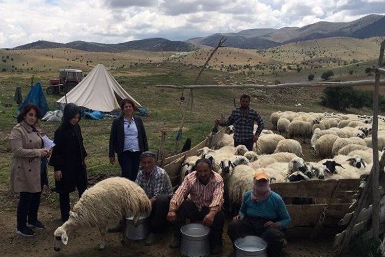 Çoban İstihdamına Tam Destek Sürüyor…