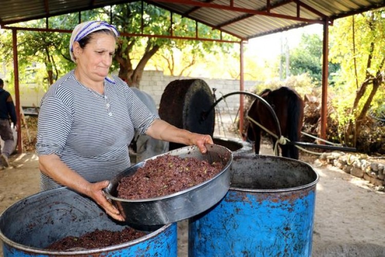 Taş değirmenden çıkan zeytinyağına yurt dışından yoğun talep