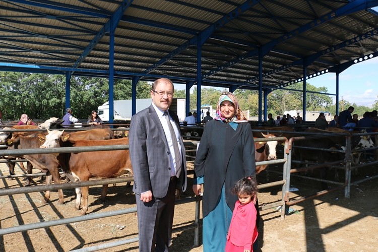 Erzincan'lı Genç Çiftçilere Büyükbaş Hayvan Dağıtımı Yapıldı