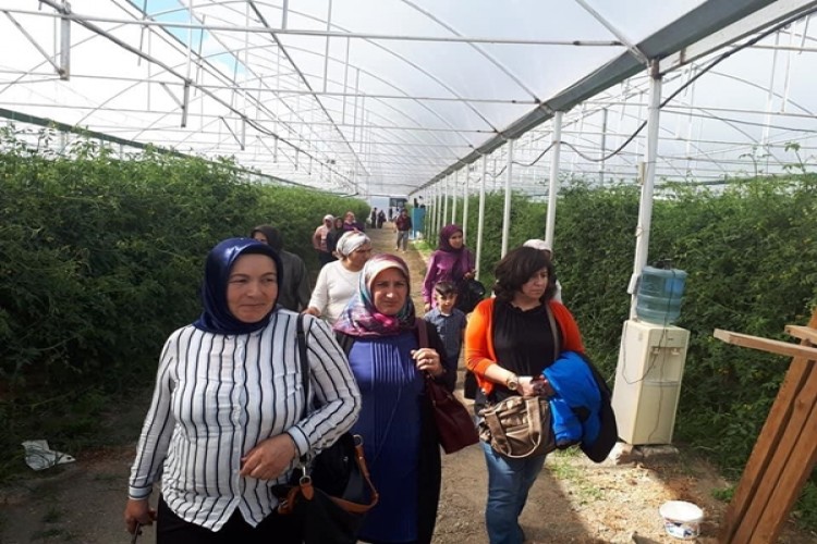 Kardeş İlçe Buluşmalarında Devrek'li Kadın ve Genç Çiftçiler Ağırlandı