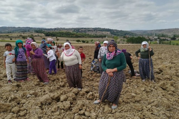 40 Yıl Önce Aldıkları Tarlanın Kiralanmasına Tepki Gösterdiler