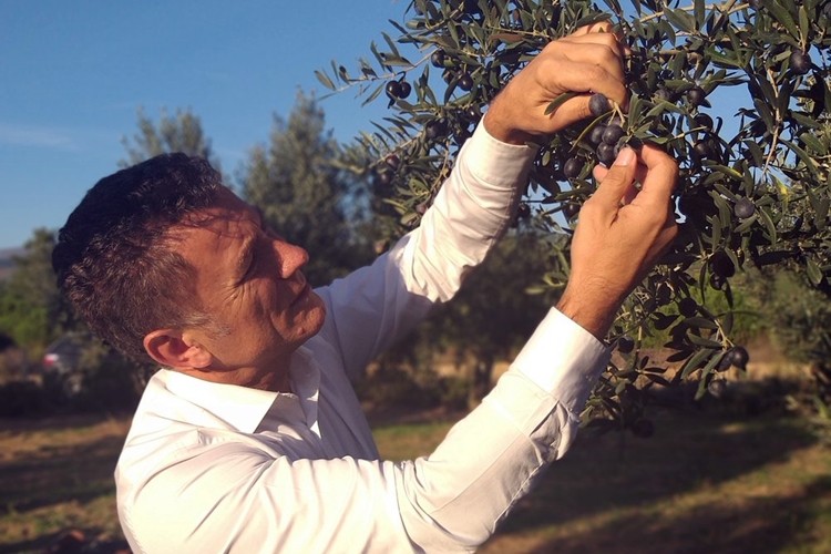 Sarıbal'dan, Asa'ya “Hodri Meydan, Fıstıklı’da buluşalım”