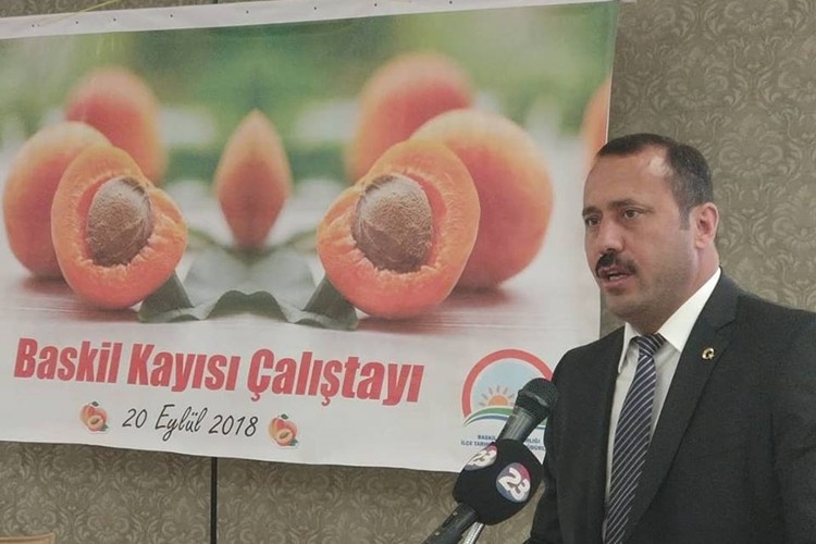 Baskil’de Kayısı Çalıştayı Düzenlendi