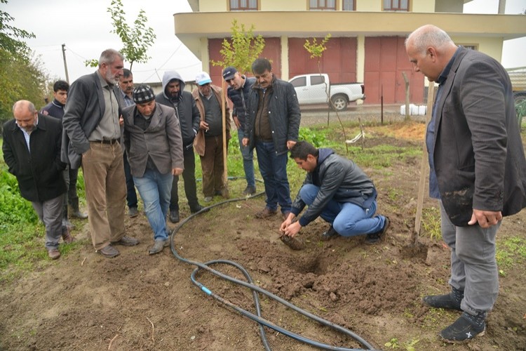 Büyükşehir’den çiftçilere fidan ve gübre desteği