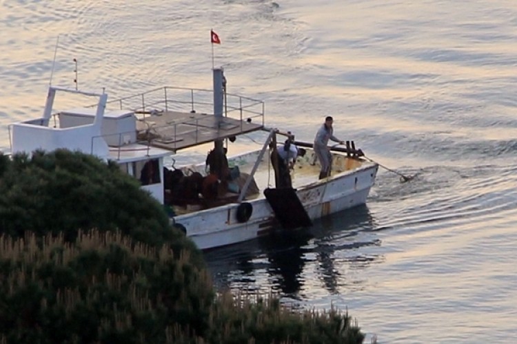 Yalova’da Trol Avcılığına Geçit Yok