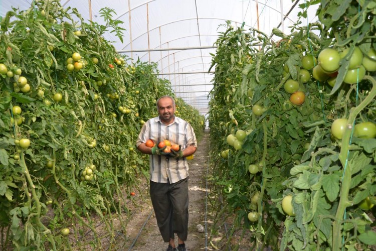 Yayla Seracılığında Yüzler Gülüyor