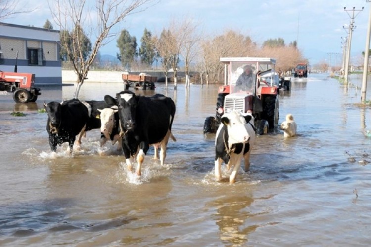 Böylesi İlk Kez Oluyor! Vatandaşlar Uyumadan Nöbet Tutuyor