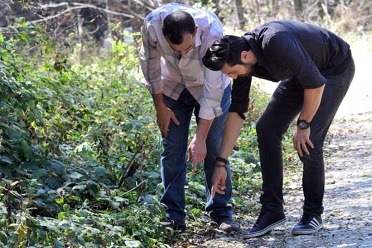 Görenler Şaşkın! Adeta İstila Ettiler...