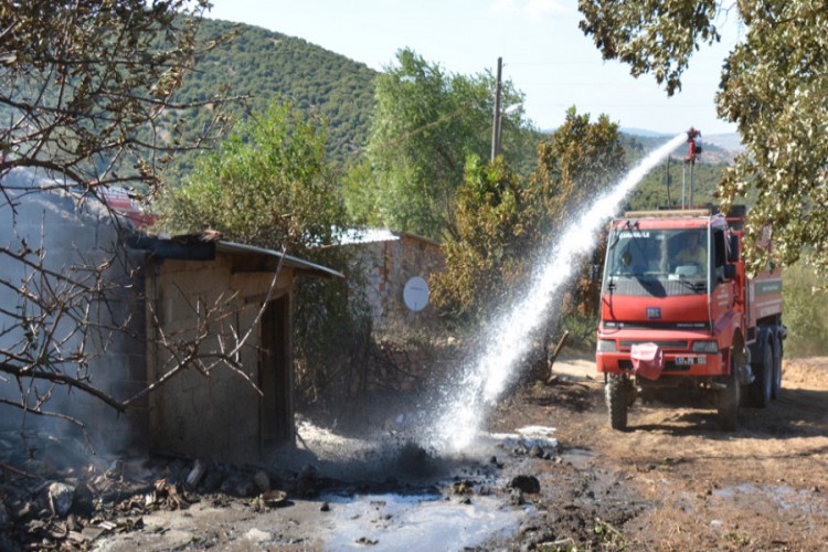 Arazi Yangını Ahıra Sıçradı, 53 Koyun Telef Oldu