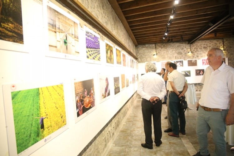 Giresun'da Tarım ve İnsan Konulu Fotoğraf Sergisi Açıldı