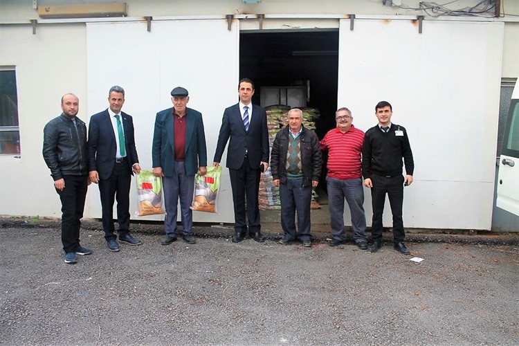 Üreticilere Yüzde 40 Hibeli Yonca Tohumu Dağıtıldı