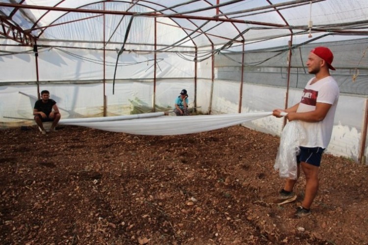 Virüse dayalı ve fungusit hastalıklarla baş edemeyen çiftçiler, seralarda solarizasyon uygulaması başlattı