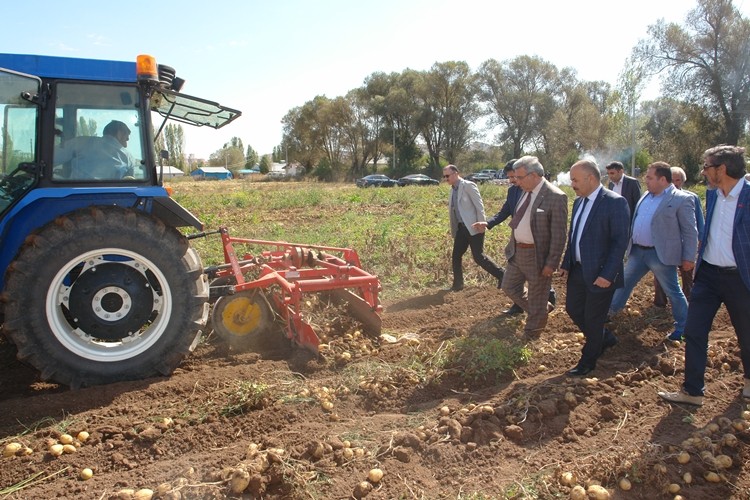 Sivas, Tohumluk Sertifikalı Patates Üretiminde Türkiye 2.si