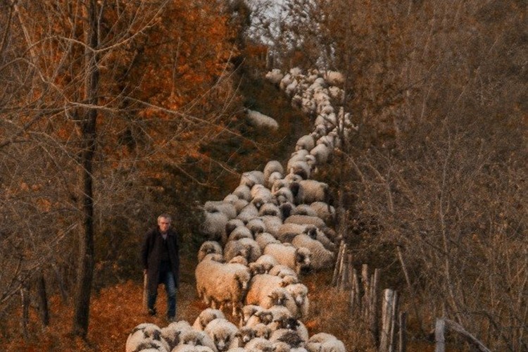 Yaylalardan dönüş başladı